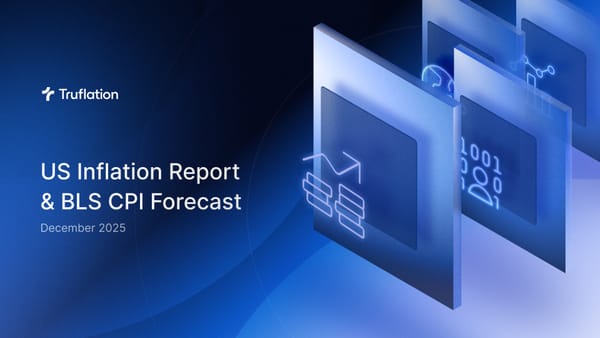 US Inflation Report & BLS CPI Forecast - December 2025